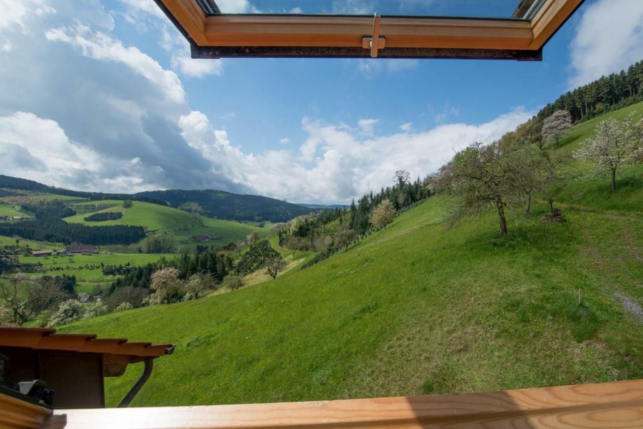Riehle Hof Apartment Zell am Harmersbach Exterior photo